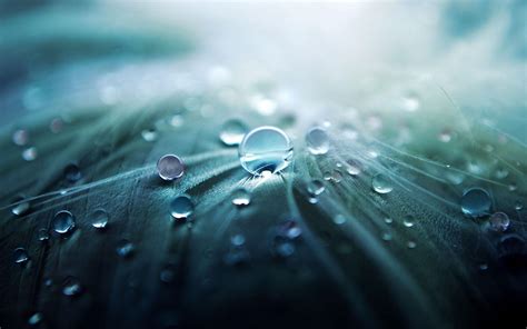 水珠桌布|[1600+] Water Drop Wallpapers